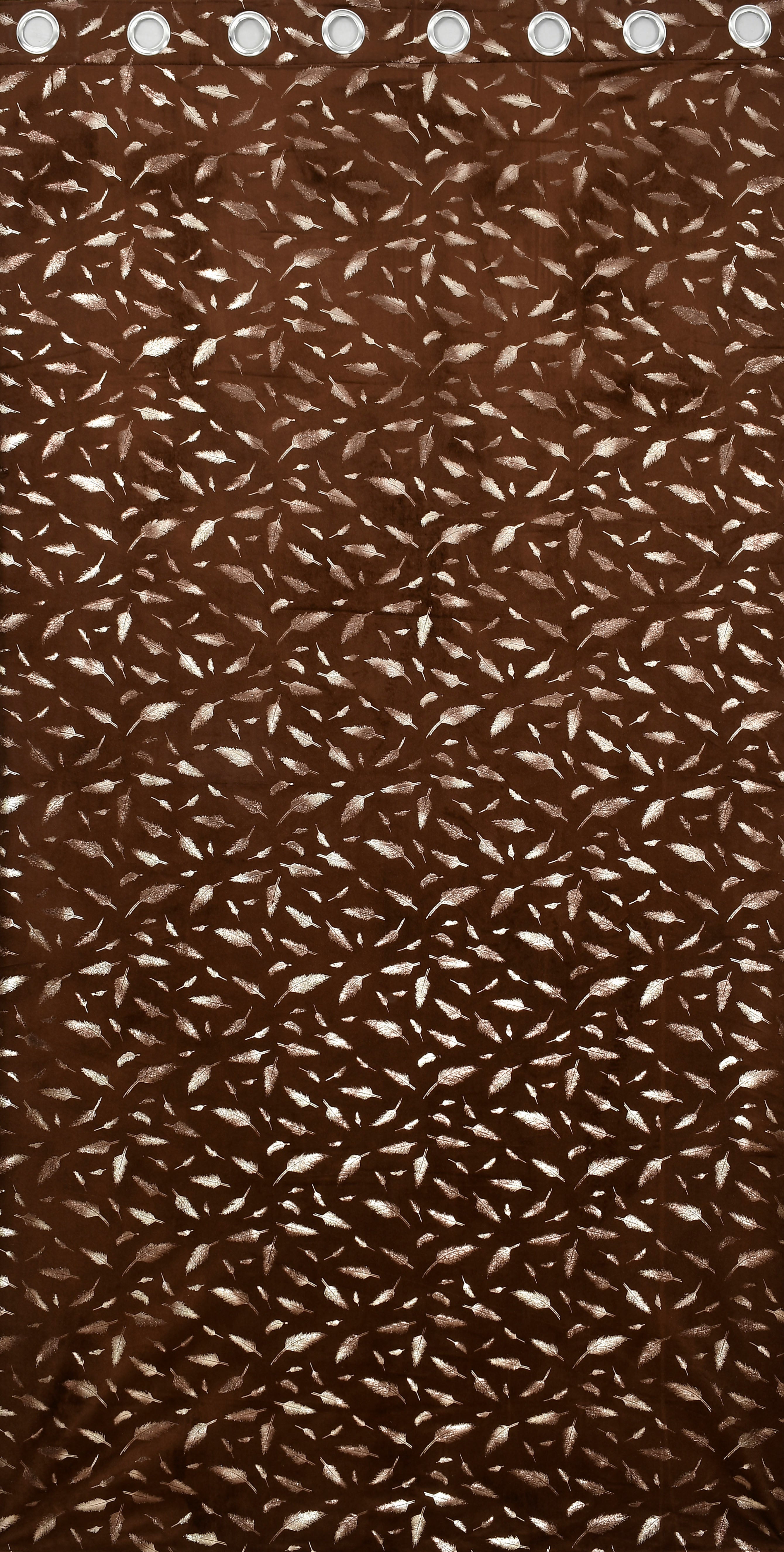 Multifoil velvet (PANKH)