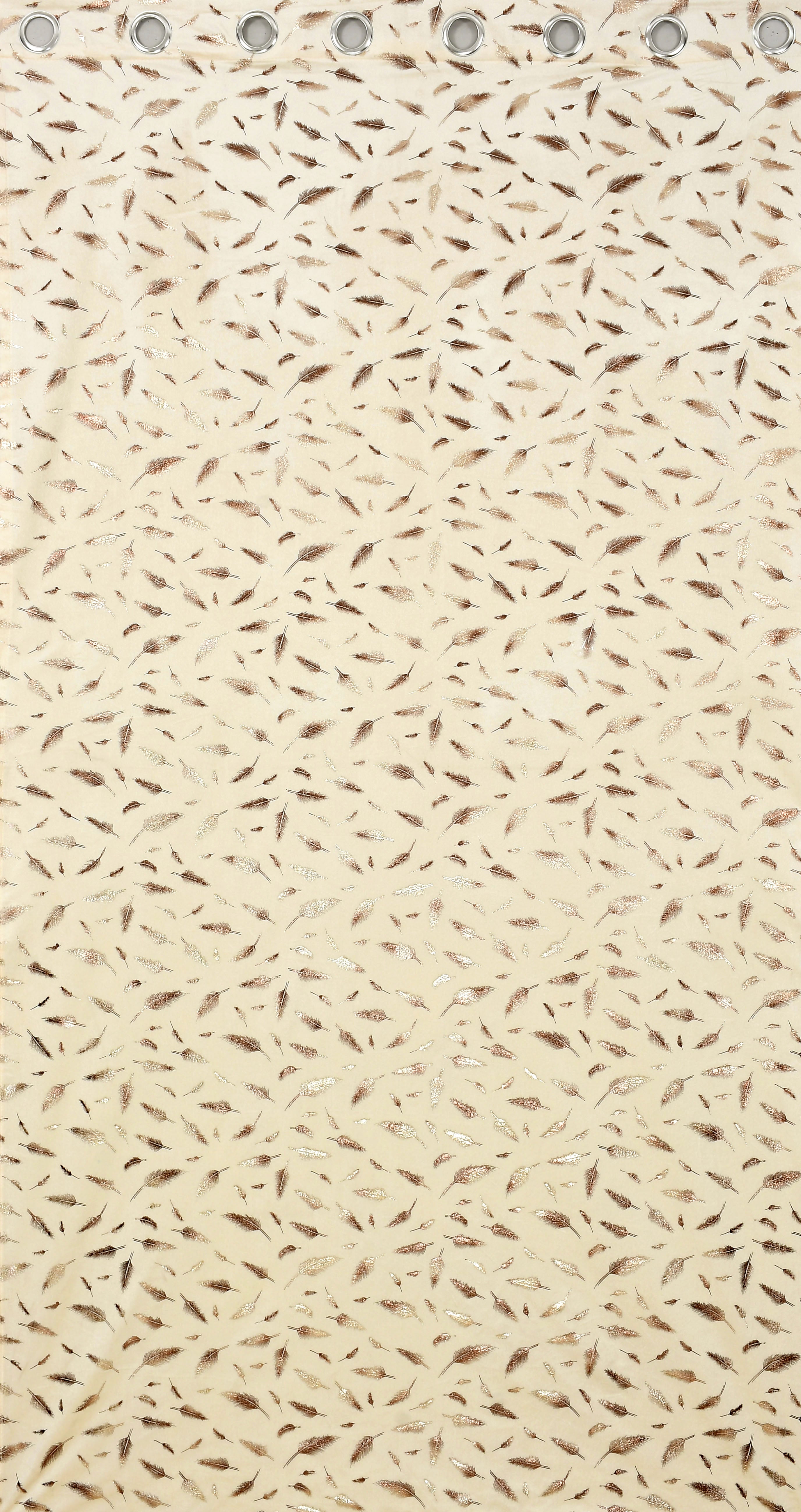 Multifoil velvet (PANKH)