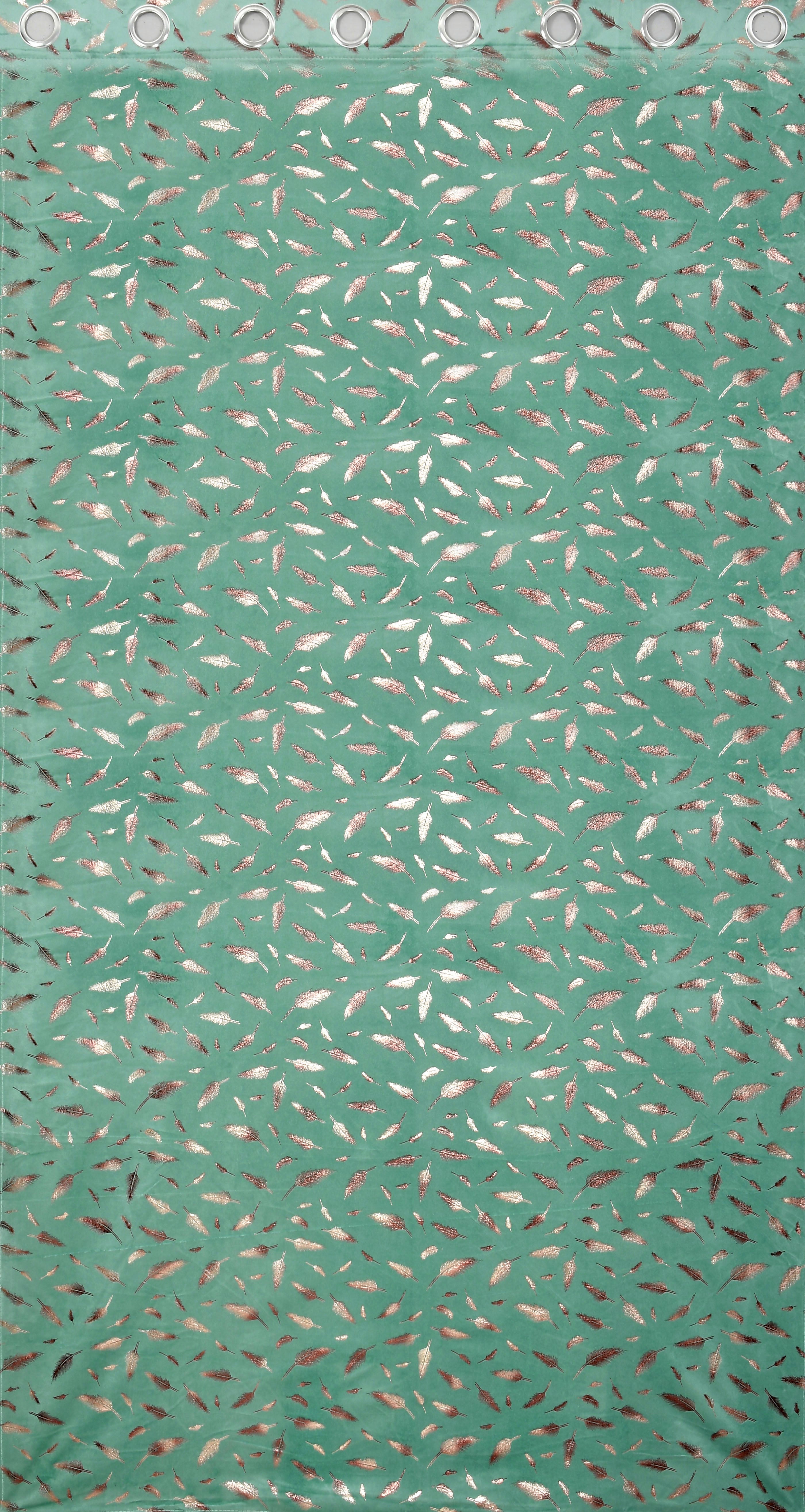 Multifoil velvet (PANKH)