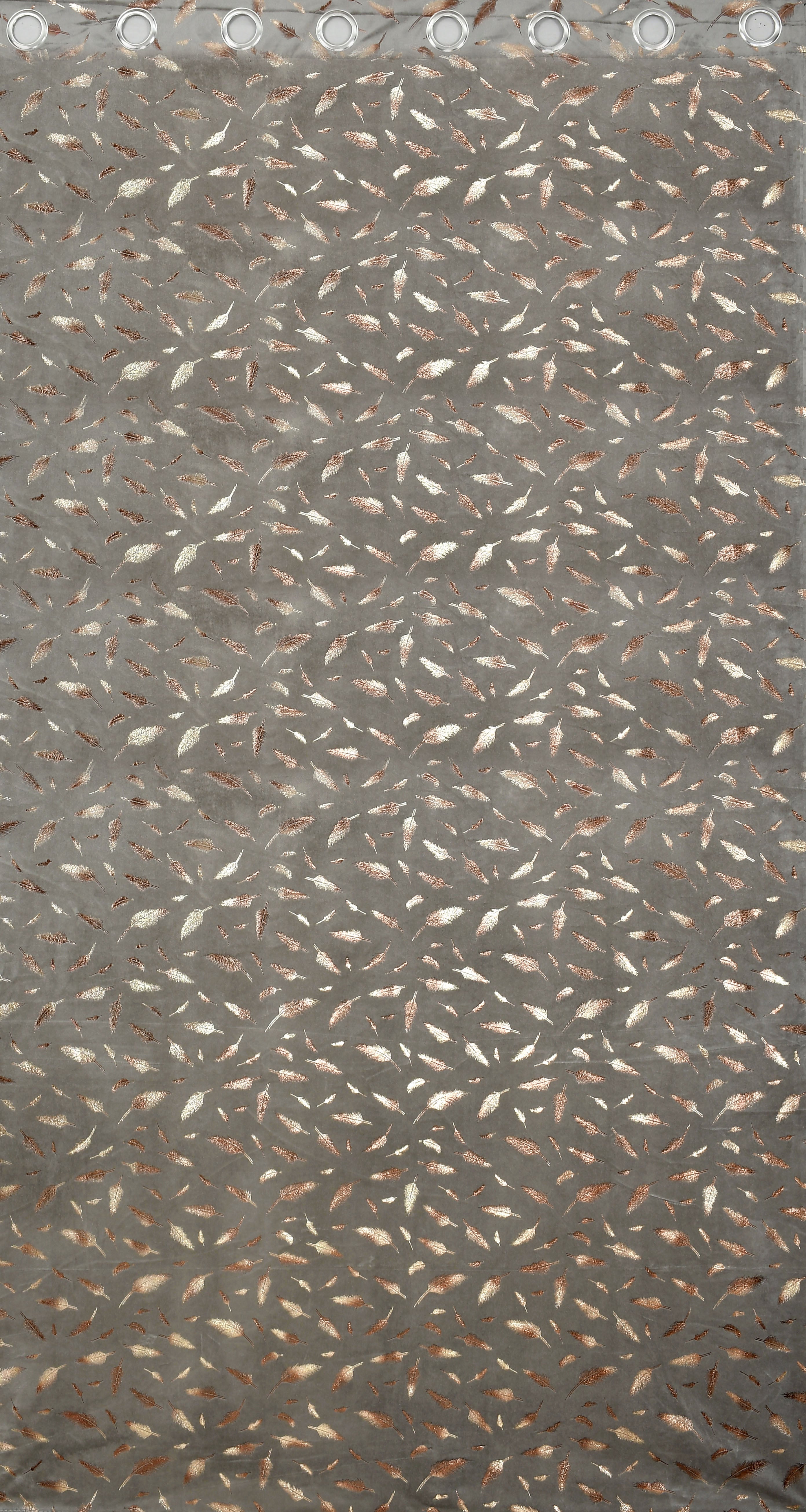 Multifoil velvet (PANKH)