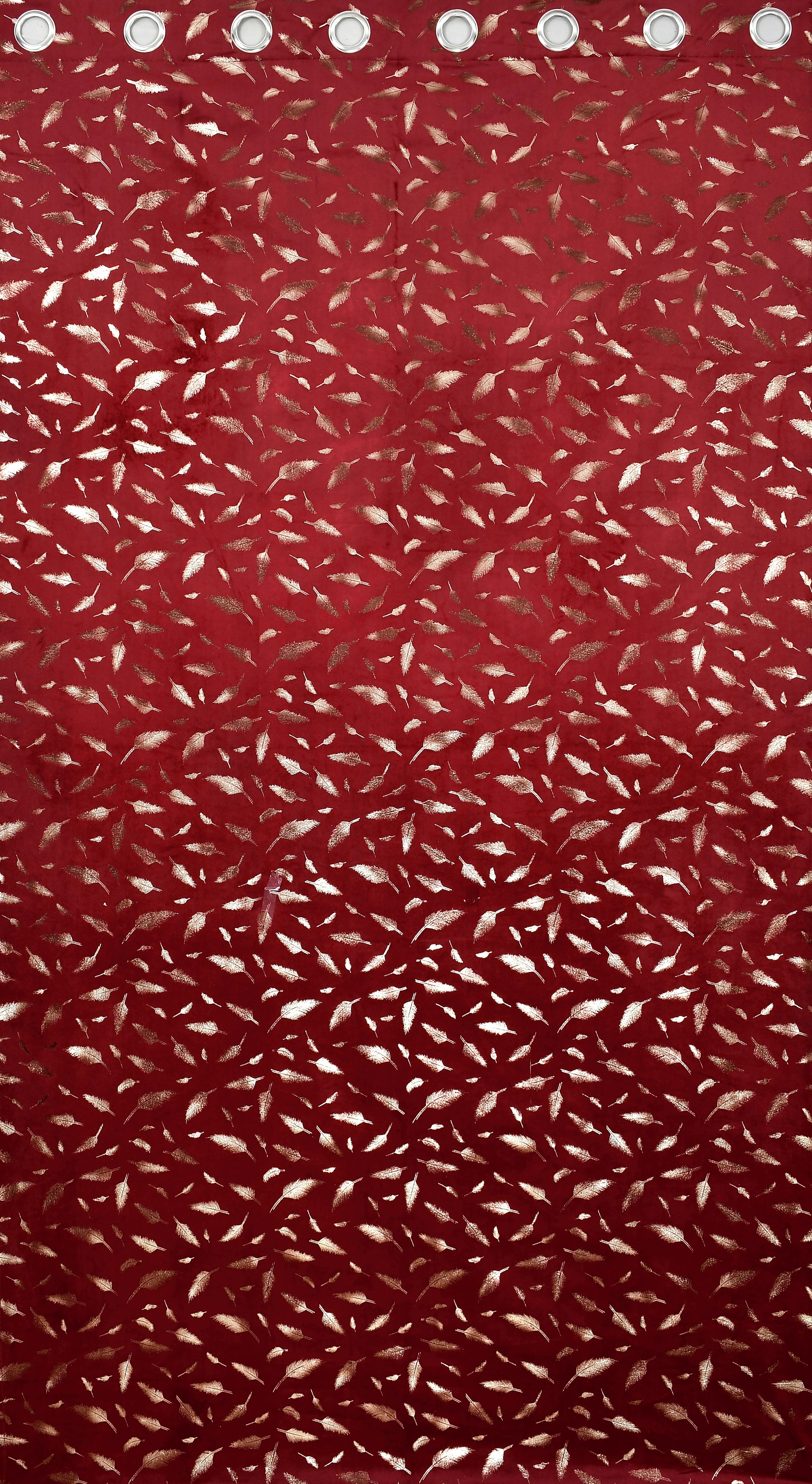 Multifoil velvet (PANKH)
