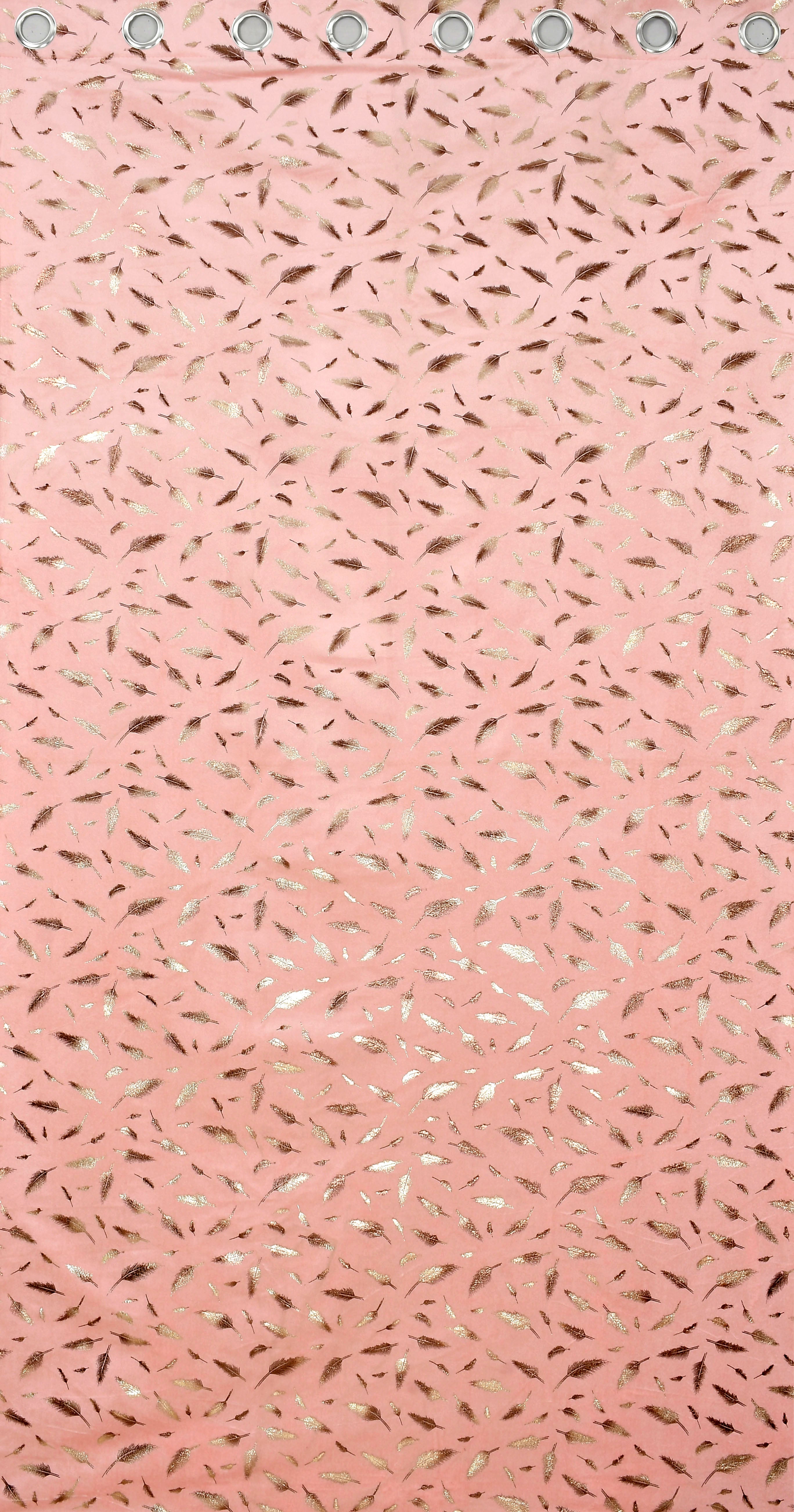 Multifoil velvet (PANKH)